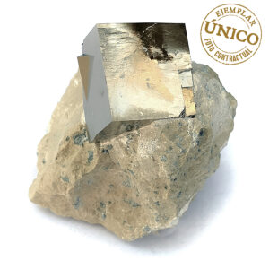 Pyrite in Matrix (7x6cm)